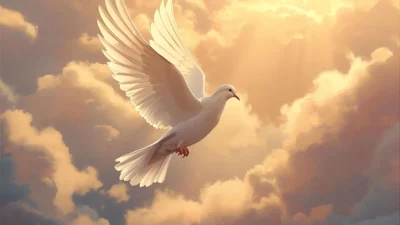 passed away or past away